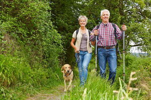 Ein Mann und eine Frau wandern mit einem Hund und Wanderstöcken an einem Waldrand. Sie sehen gesund und glücklich aus. Ich unterstütze Sie dabei, Ihre Gesundheitsziele zu erreichen.