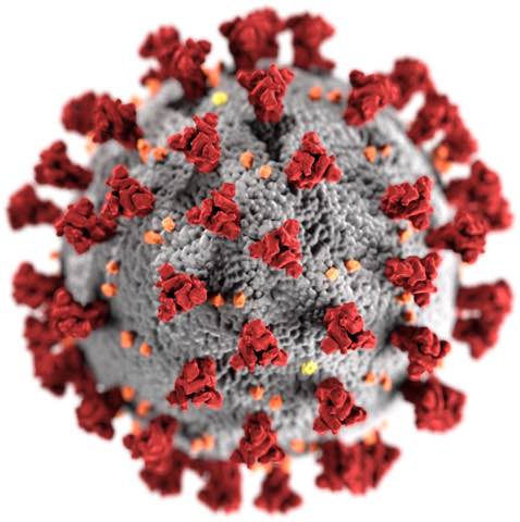 Abbildung eines Corona-Virus. Reiner Müller, Angstfreier leben.